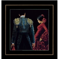 TP Dansen en passie          48x50cm