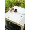 DH Placemat 2st.plastiek Vos+wasbeer