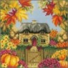 Telpakket 4 seizoenen HERFST