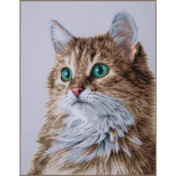 TP De perfecte starende blik LANARTE  POES