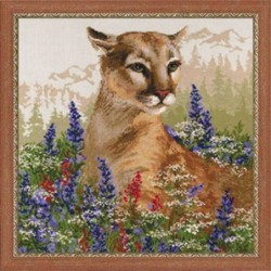 DH Cougar        60x60cm       1361