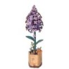 Robotime Lilac