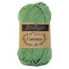 CATONA 212 sage green          25gr.