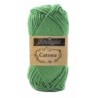 CATONA 412 forest green        25gr.