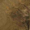 Deco-metaal 14x14cm 5 bl/goud