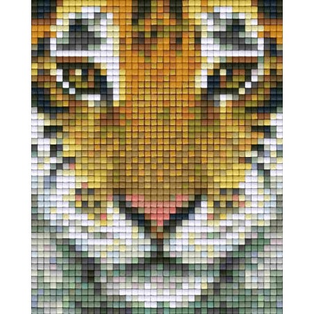 Pixel pakket met 40 matjes/tijger-hoofd real 31314