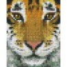 Pixel pakket met 40 matjes/tijger-hoofd real 31314