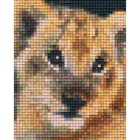 Pixel pakket met 30 matjes/welp-ina real 31323