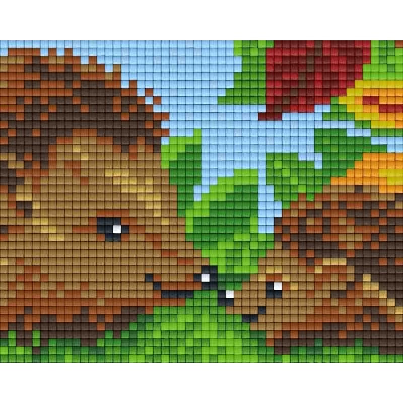 Pixel pakket met 25 matjes/egeltjes tek.  31357