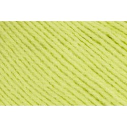 PEQUES 84929 limoen            50gr.