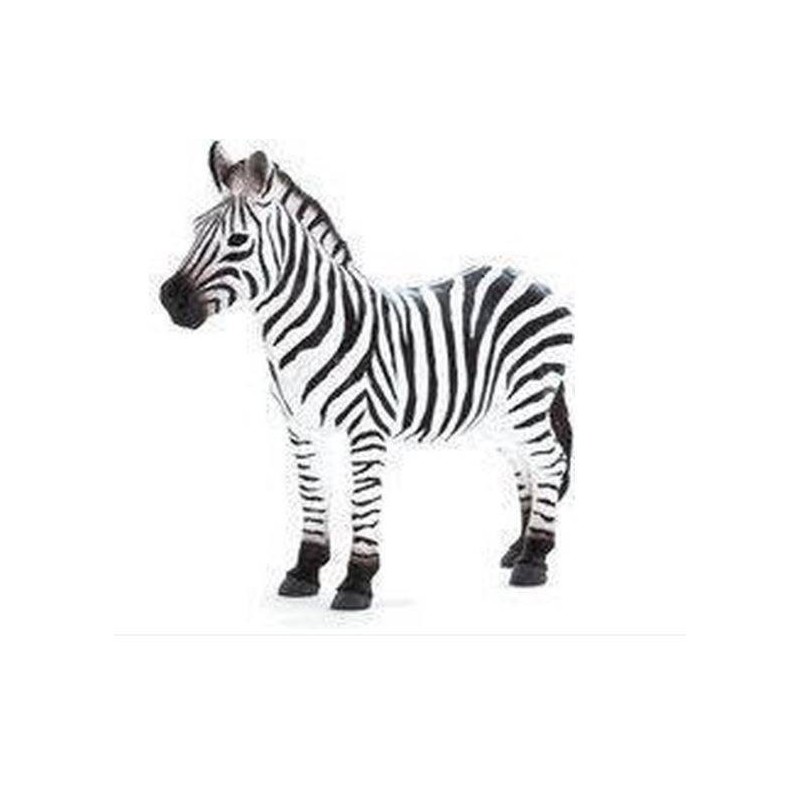 Animal Planet Zebra