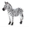 Animal Planet Zebra