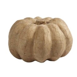 Eco-shape pompoen H: 10 cm, d 16 cm, 1 stuk