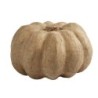 Eco-shape pompoen H: 10 cm, d 16 cm, 1 stuk