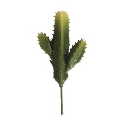 Zuilcactus