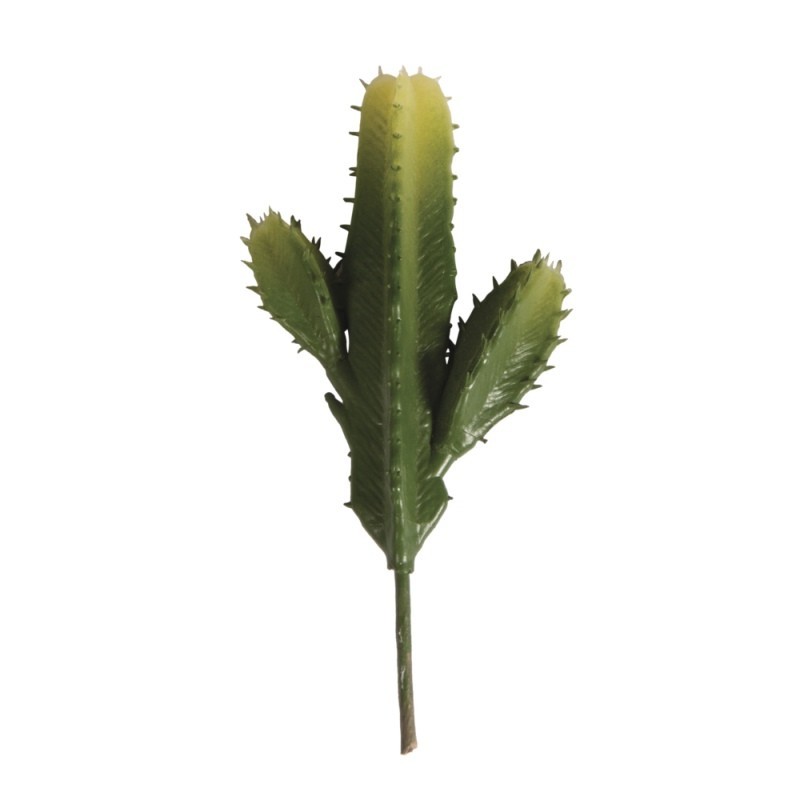 Zuilcactus
