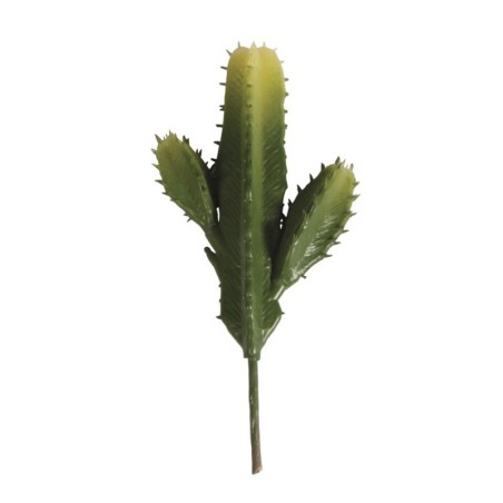 Zuilcactus