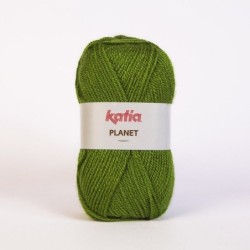 PLANET 3966 gras groen        100gr.