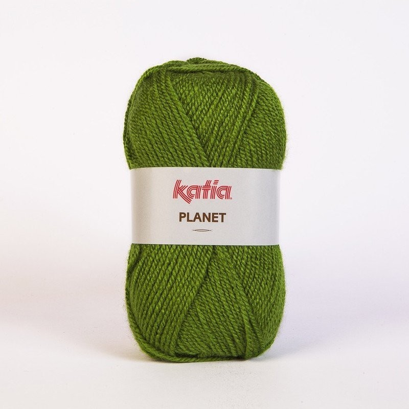 PLANET 3966 gras groen        100gr.