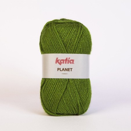 PLANET 3966 gras groen        100gr.