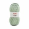 PLANET 4015 donker munt              100gr.