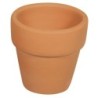 Terracotta pot