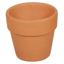 Terracotta pot