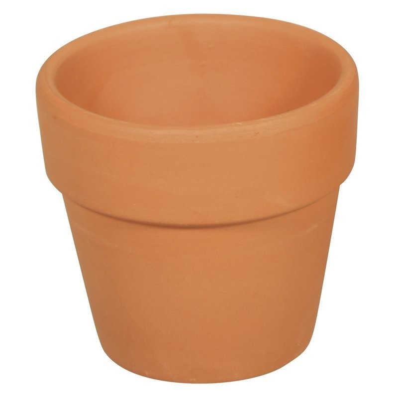 Terracotta pot