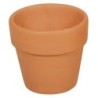 Terracotta pot