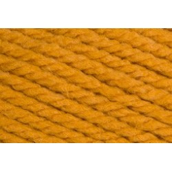 ALASKA 31 goud kleur          100gr.