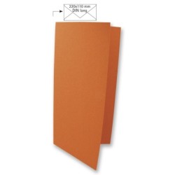 Dubbele kaart lang oranje    /5st