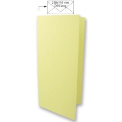 Dubbele kaart lang pastelgroen  /5st
