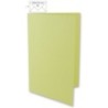 Dubbele kaart B6 pastelgroen /5st