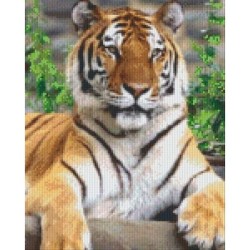Pixelhobby Pakket 809010 Tijger  9 platen