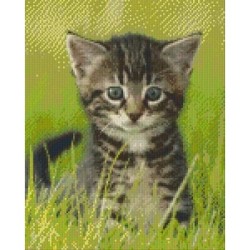Pixelhobby Pakket 809223 Poesje