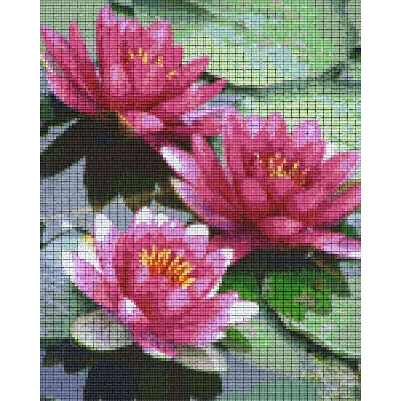 Pixelhobby Pakket 809306 Waterlelies