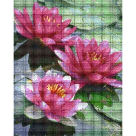 Pixelhobby Pakket 809306 Waterlelies