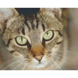Pixelhobby Pakket 809442 Poes