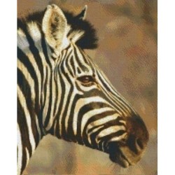 Pixelhobby Pakket 816186 Zebra