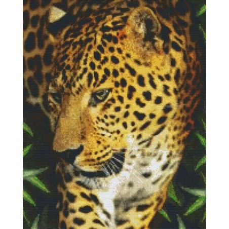 Pixelhobby Pakket 816187 Panter