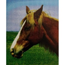 Pixelhobby Pakket 816191 Paard