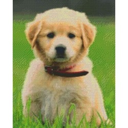 Pixelhobby Pakket 816192 Puppy