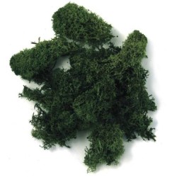 Ijslands-mos d.groen 30gr