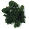 Ijslands-mos d.groen 30gr