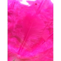 Pluimpjes roze fuchia        +/-20st