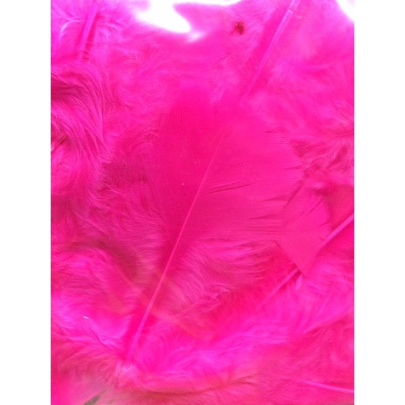 Pluimpjes roze fuchia        +/-20st
