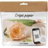 Creatieve miniset crpepapier, Pioenroos, Crpe-ve