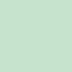 Flexfolie PS Easyweed Mint A0068