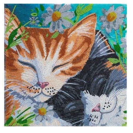 Crystal Art Kit Sleepy Cats 30x30cm