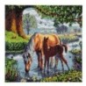 Crystal Art Kit fell ponies 30x30cm